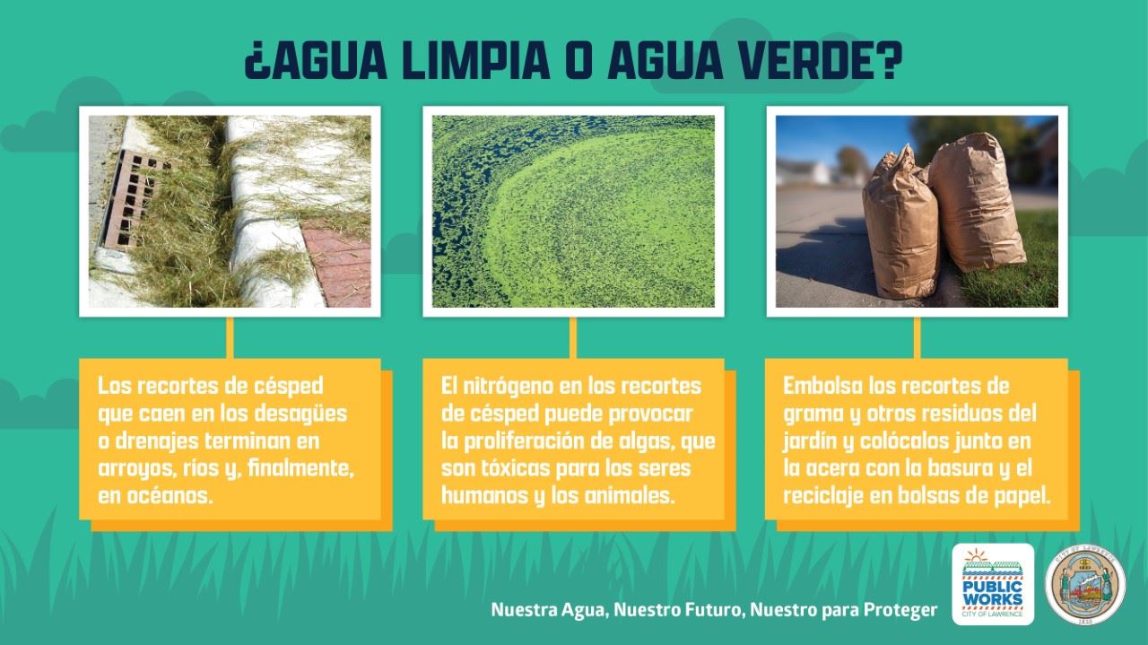 Lawrence Grass Clippings panish