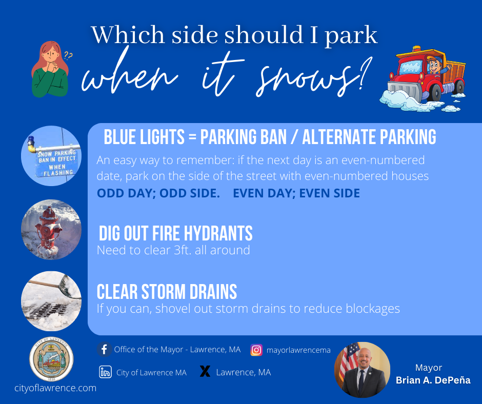 City of LaGold Foil Pillow Case Polka Dots Fitted Sheet